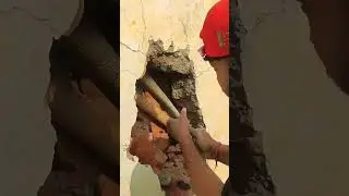 सबसे खतरनाक रेस्क्यू😱 Indian Monitor lizard🦖 Powerful Animal💪#ramsnakelover #short #shotrs