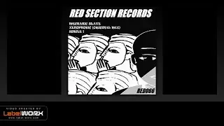 Mechanic Slave - Xenophobic (Original Mix)
