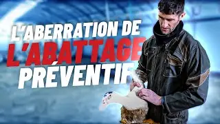 GRIPPE AVIAIRE, la fin de la filière canard ? | BV - Reportage