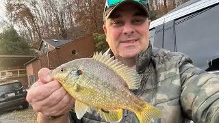 Lake Hybrid Bass and bluegill