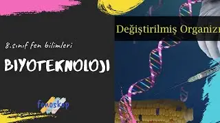 8.sınıf Biyoteknoloji konu anlatımı