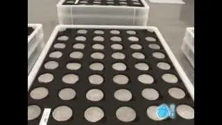 Exposición de las monedas de la Fragata Nuestra Señora de las Mercedes