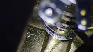 Adjusting the hairspring collet on an Orient 46941 balance wheel.