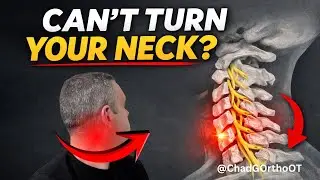 «Не можете повернуть шею за рулём? Простые решения, которые действительно работают»