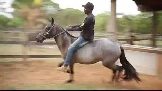 65 SAVAGE CATENA Z