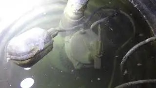 Sump pump inspection #homeinspectortraining