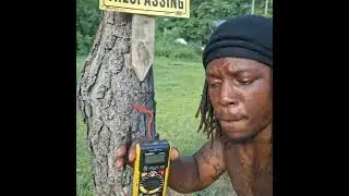 Tap into tree energy(free energy)
