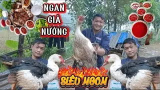 NGAN GIÀ NƯỚNG SIÊU NGON VÀ CÁI KẾT CỦA SIÊU TIẾT CANH II NHỊP SỐNG THƯỜNG NGÀY - TRAI ĐẤT TỔ TV