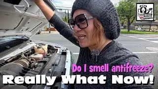 More Travel Issues & 10 Day Free Casino Camping | Nomad RV Travel Vlog