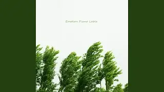 Wind that flows into memories