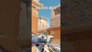 Molly Mid Doors on Anubis #cs2 #counterstrike2 #shorts