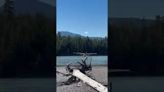 Cessna 180 Waterski Landing #cessna #aviation