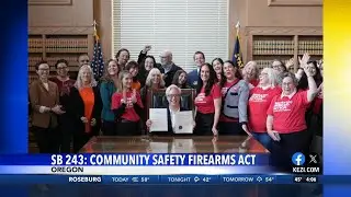 SB 243: Community Safety Firearms Act