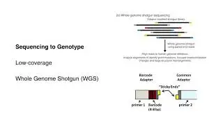 Biology of Genomes_Part 7: Assaying Genome Diversity