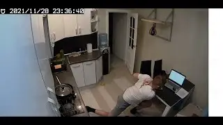 Cat Claws Interrupt Phone Call || ViralHog