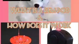 WHAT IS A REMPOD AND HOW DOES IT WORK?