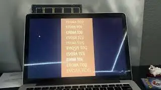 Journey to Making a TCG Start - EVOSA TCG