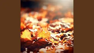 Autumn Dreams