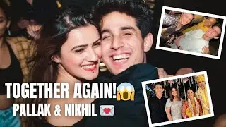 Nikhil & Pallak Back Together? 😱😍 |Splitsvilla 13's Most Loved Couple| Fans Go Crazy😵