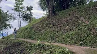 A present moment in my life ,3 horses and a cat following me to the temple in the Costa Rica jungle.