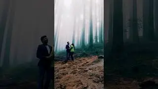 Darjeeling Tour / Pine Forest #love #Darjeeling #shorts