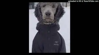 FREE MINIMALISTIC TRAP TYPE BEAT