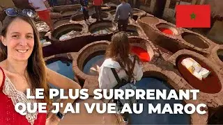 Volubilis & Fès : Plongée au Cœur de l’Histoire Marocaine