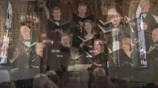MSVA 20th Anniversary Video