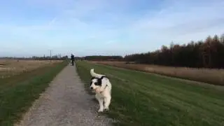 Komm mal her!
