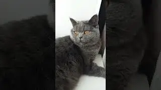 как быстро похудеть мужу
