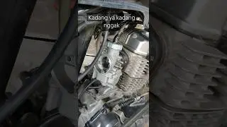 Karbu PE 26 Di Megapro Mono 