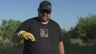 Conditioning Deer To A Feeder