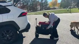 Utility Cart Folding Wagon Cart Collapsible Wagon Review