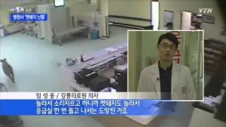 흥분한 멧돼지가 간호사 뒤쫓다가…'아수라장' / YTN
