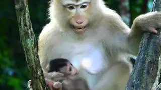 Rose when she Feed baby REX
