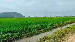 ជើងភ្នំសំពៅ ផ្លូវស្អាត អេម ទេសភាពស្អាត
