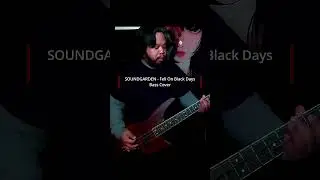 Soundgarden - Fell On Black Days (Bass Cover) #shorts