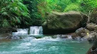 Sleep Better Tonight with River Sound In the Forest vs. White Noise Machines