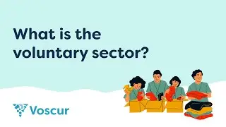 What is the voluntary sector?
