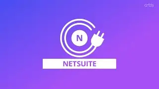 NetSuite Integration Tool