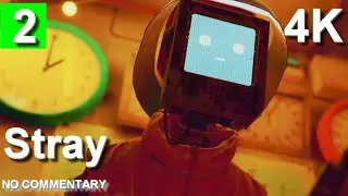 Stray PL gameplay no commentary | #2 4K