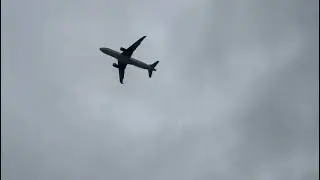 Primeiro voo  ! Airbus A320 - 232 Jet Smart (Penguino Rey) ( King Penguin Livery )  - Recife 