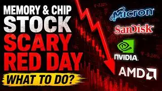 Scary Red Day - What To Do? Micron / Sandisk / SK Hynix / NVDA / AMD / ARM / INTC / STX / CBRS