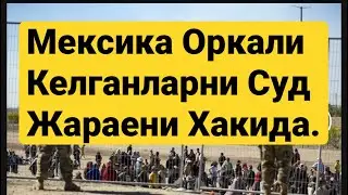 Мексика-АКШ: Суд Жараени Боскичлари.