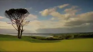 KAURI CLIFFS TREE