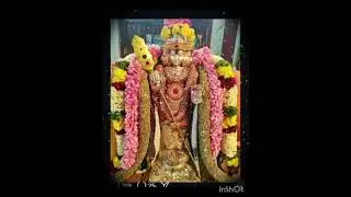 கேட்ட வரங்களைஅளிக்கும் முருகனின்பாடல்#murugan#tamilsong #videosong#saravanabhava#ommuruga#devational
