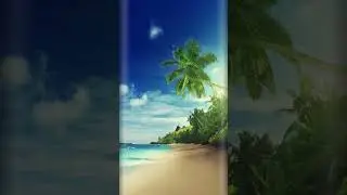 Breeze of Relaxation, Chill and Unwind