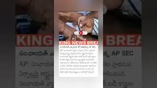 పంచాయతీ ఎన్నికలకు రెడీ అవుతున్న AP SEC #ap #election #appolitics