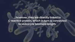 Linking Diet, Lifestyle & Telomere Length: Insights from NHANES Data | Aging-US