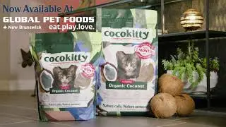 Cocokitty at Global Pet Foods Canada